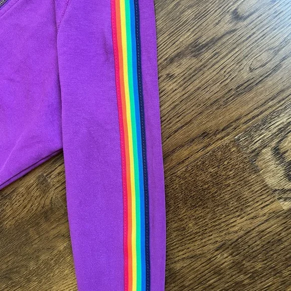 Primary Purple Hoodie with Rainbow Sleeve Stripes - Picture 2 of 3